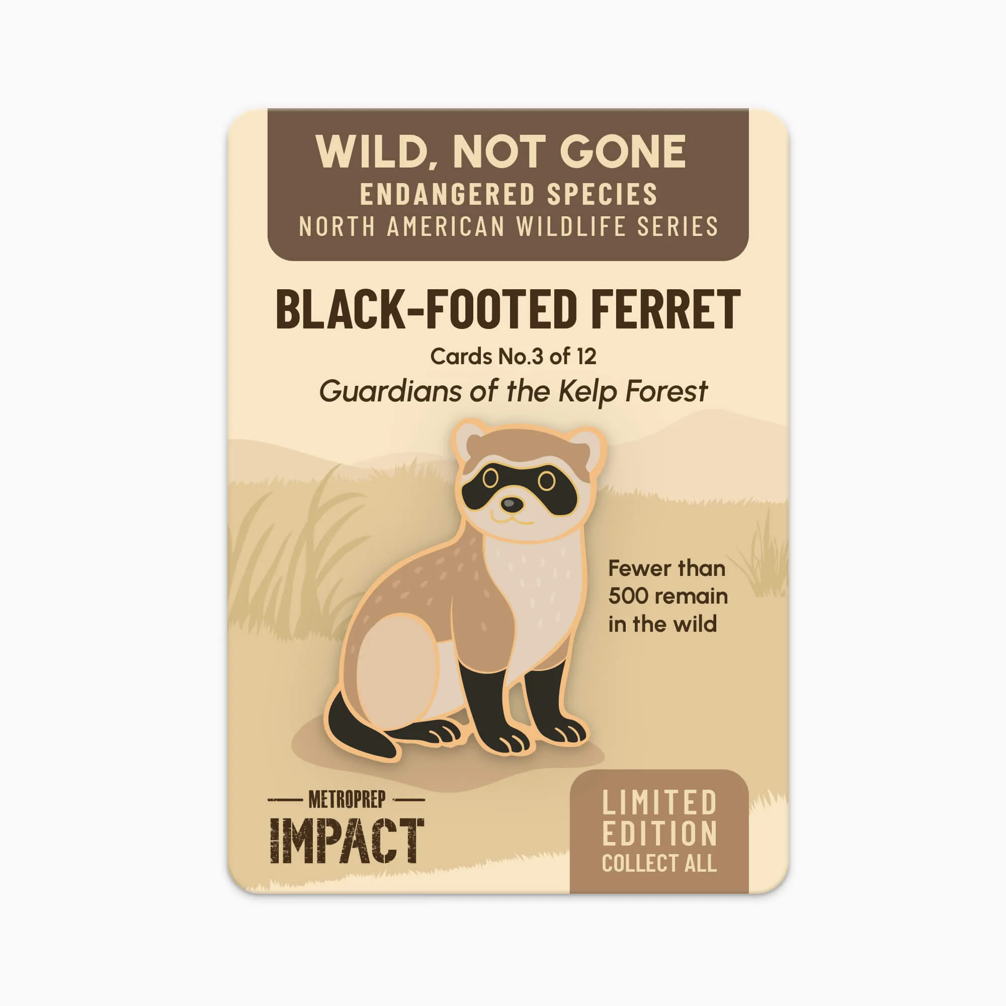 Black-Footed Ferret pin