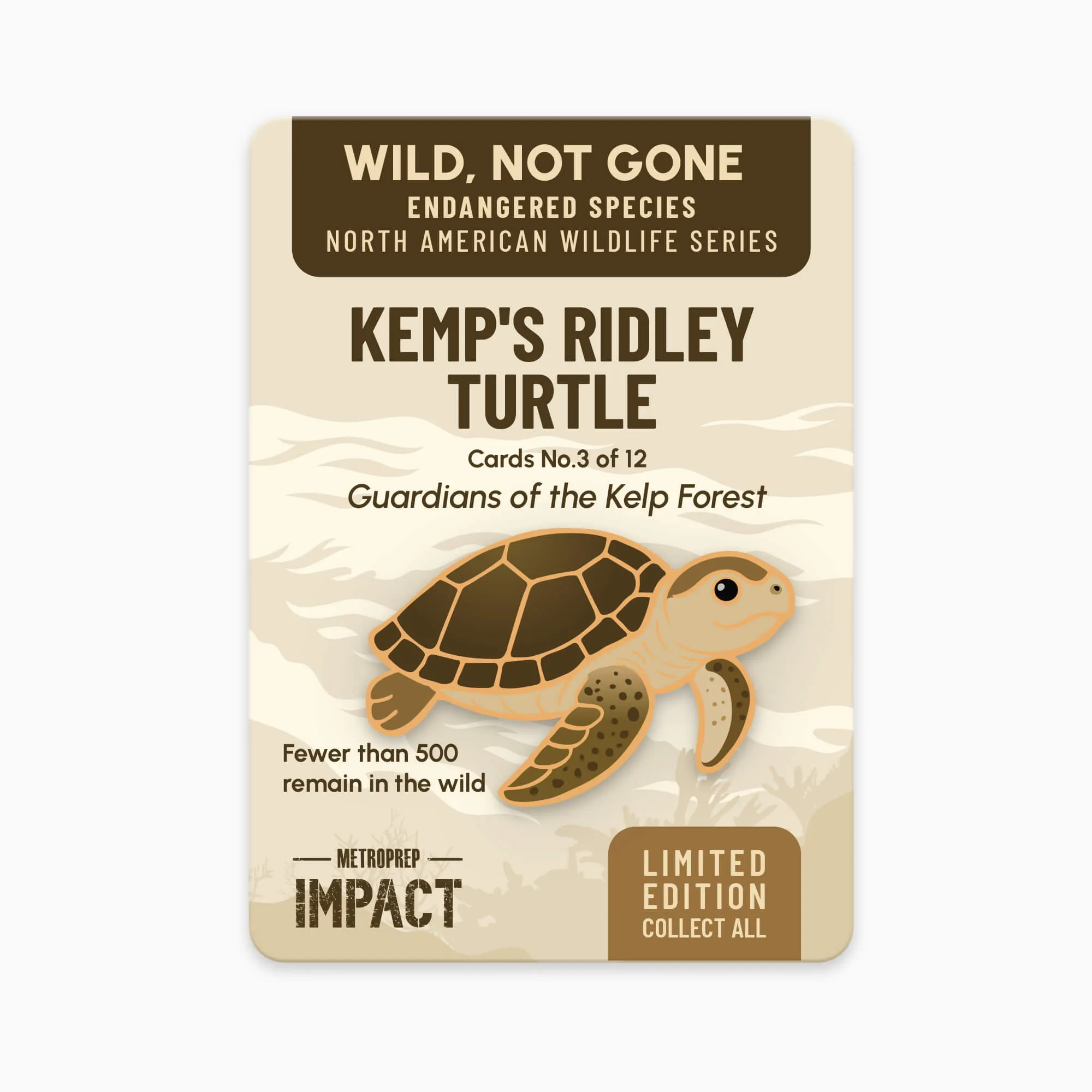 Kemp’s Ridley Sea Turtle pin