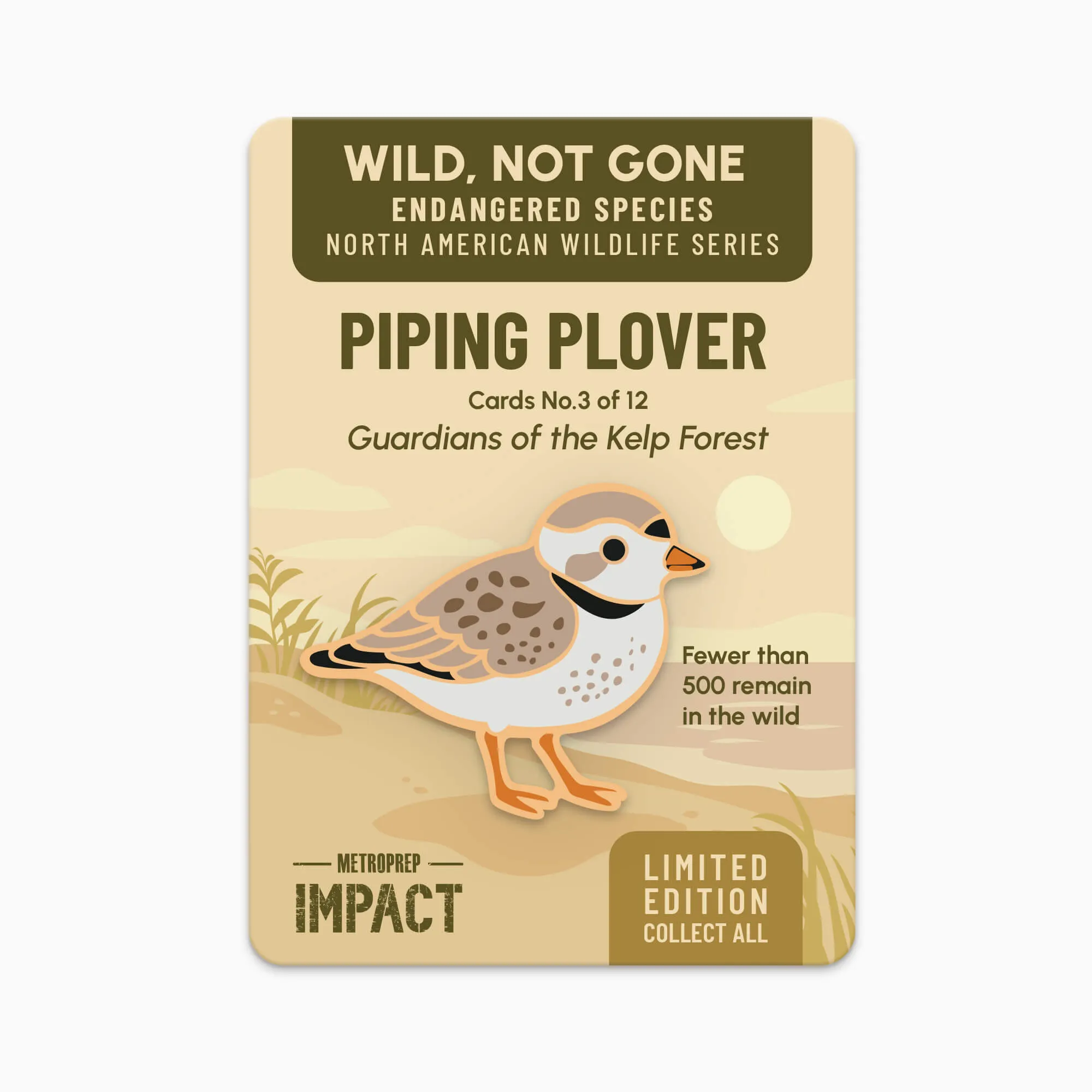 Piping Plover pin